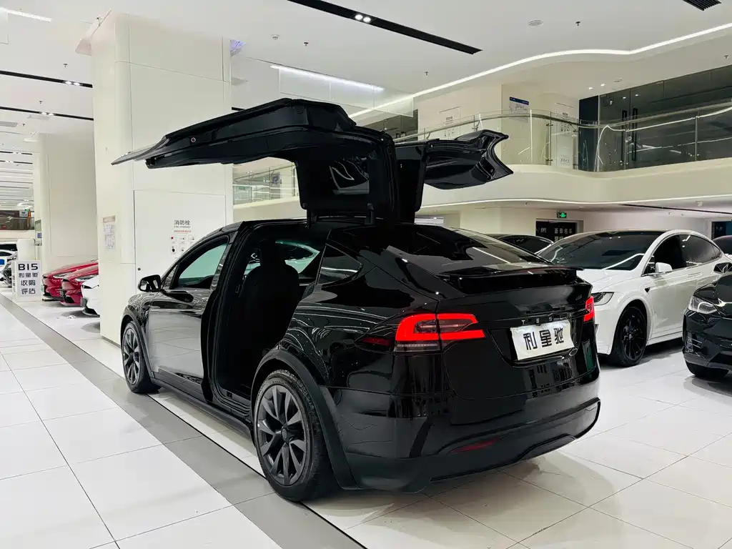 Tesla Model X — миниатюра 3