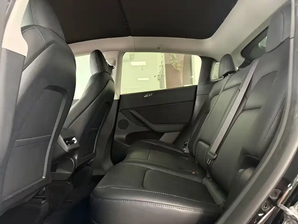 Tesla Model Y — миниатюра 10