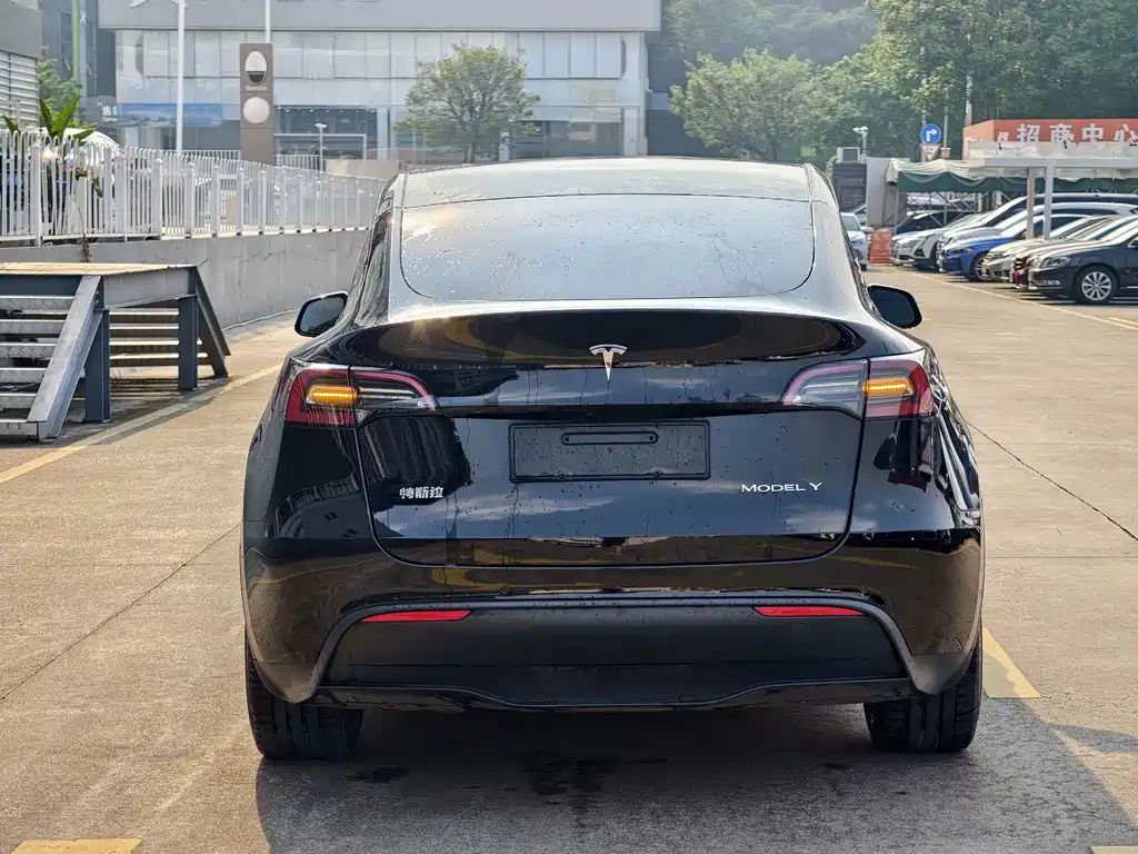 Tesla Model Y — миниатюра 6