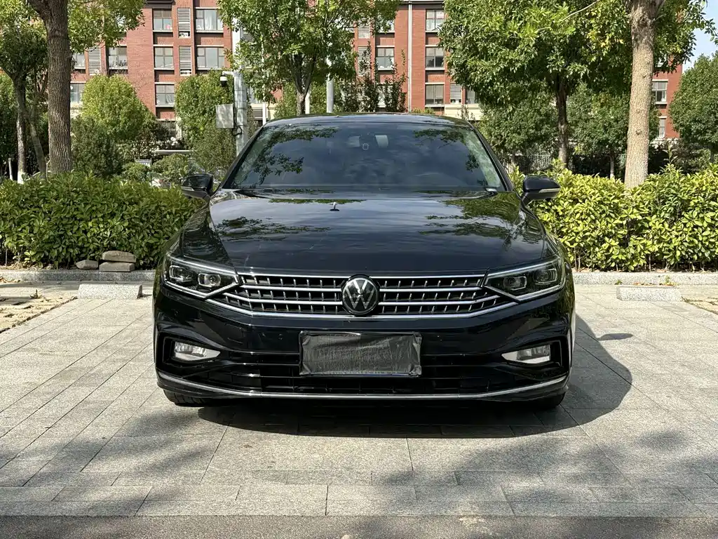 Volkswagen Magotan — миниатюра 2