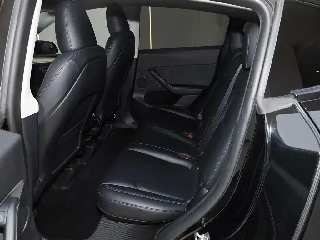 Tesla Model Y — миниатюра 23