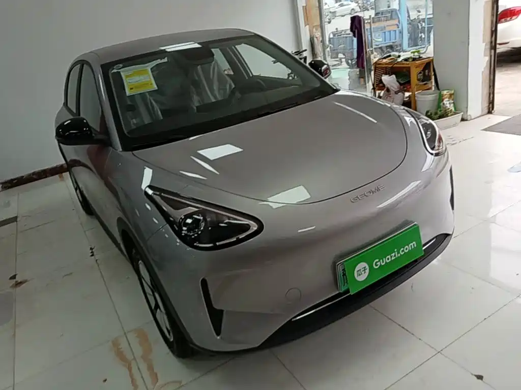 Geely Geome Xingyuan 2026 310km
