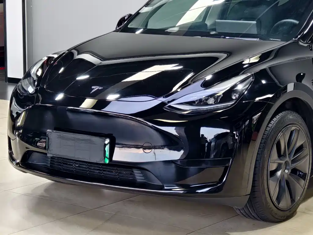 Tesla Model Y — миниатюра 4