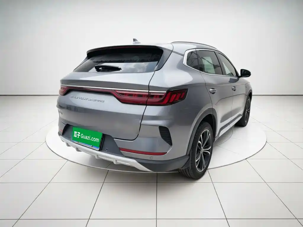 BYD PLUS — миниатюра 6