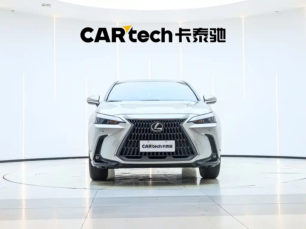Lexus NX — миниатюра 6