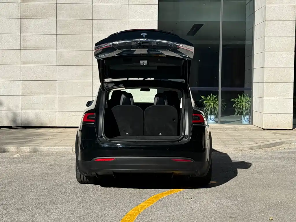 Tesla Model X — миниатюра 19