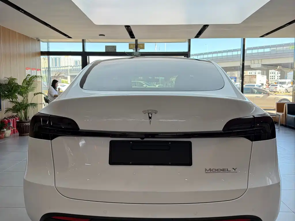 Tesla Model Y — миниатюра 5