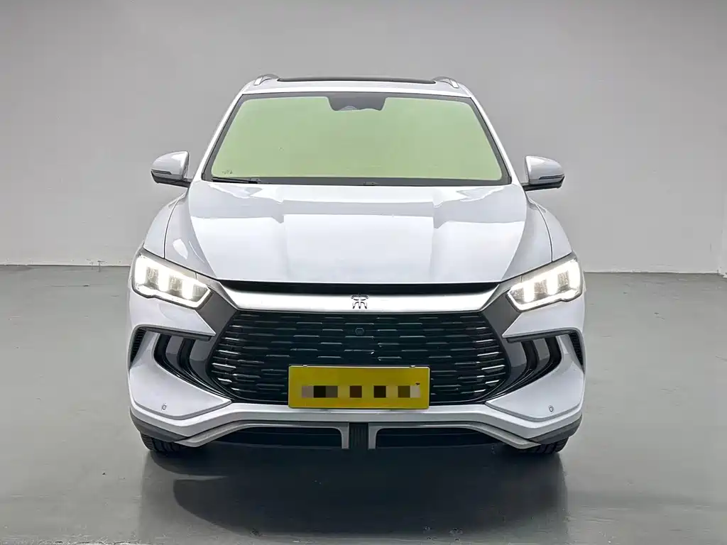 BYD Pro New Energy — миниатюра 2