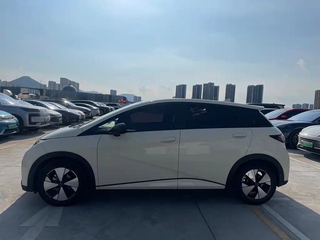 BYD Dolphin — миниатюра 3
