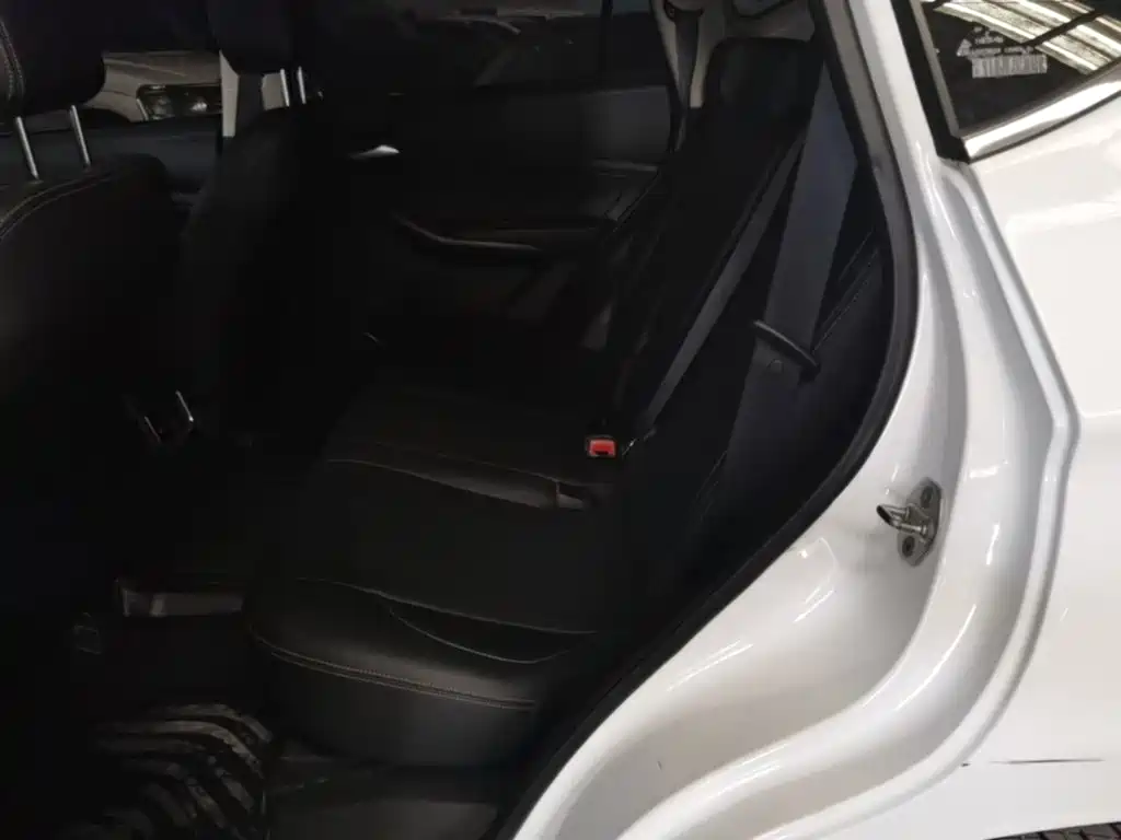 BYD Song — миниатюра 17