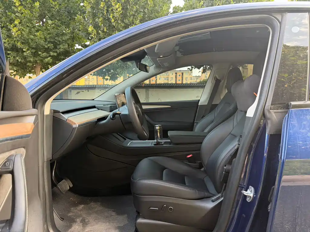 Tesla Model Y — миниатюра 5