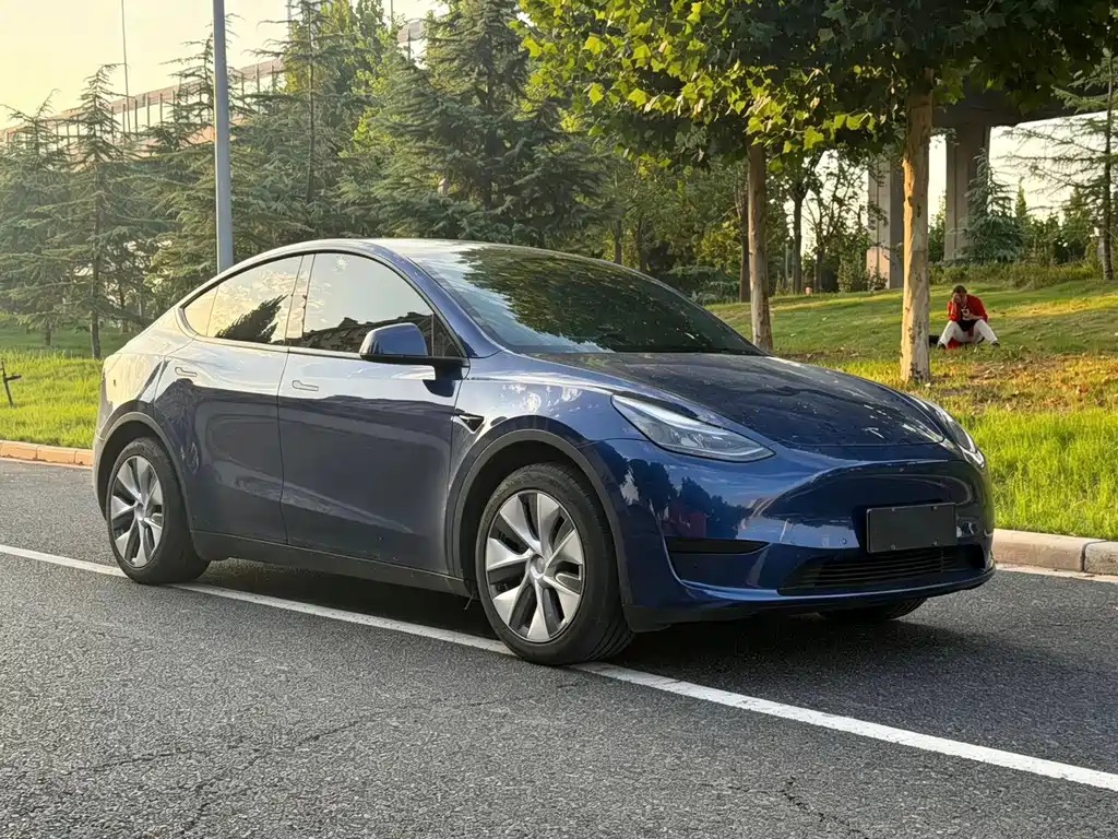 Tesla Model Y — миниатюра 3