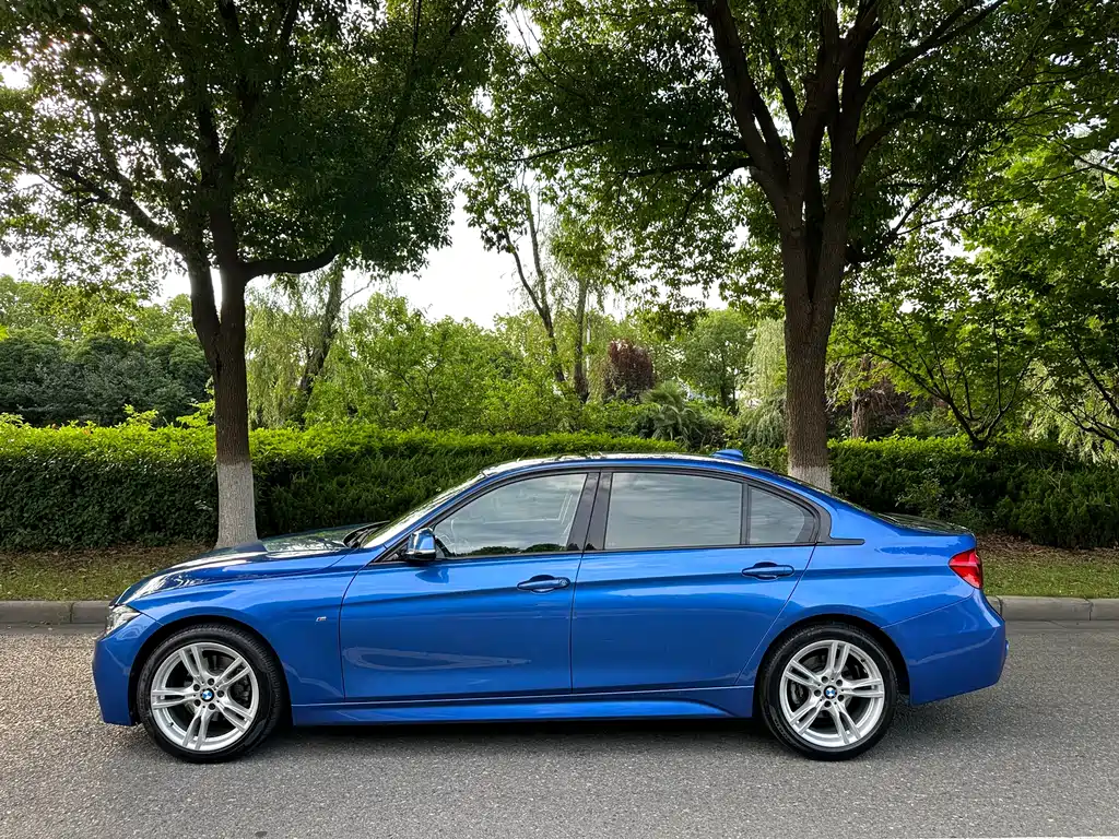 BMW 3 Series 3 2019 320Li M Sport