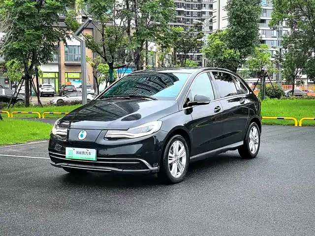 2019 Denza N9