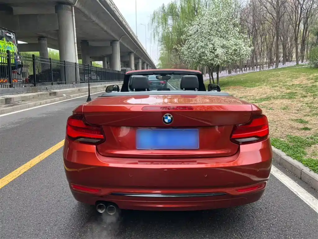 BMW 2 Series 2 2019 225i Sport