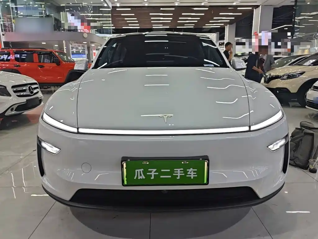 Tesla Model Y — миниатюра 3