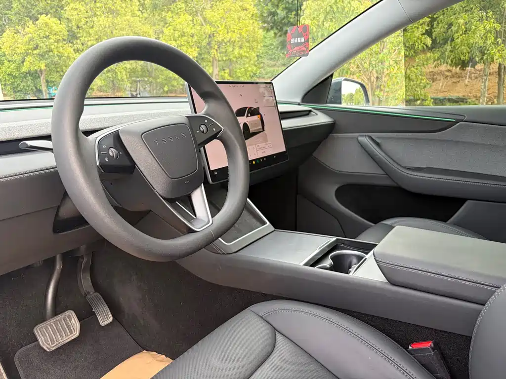 Tesla Model Y — миниатюра 6
