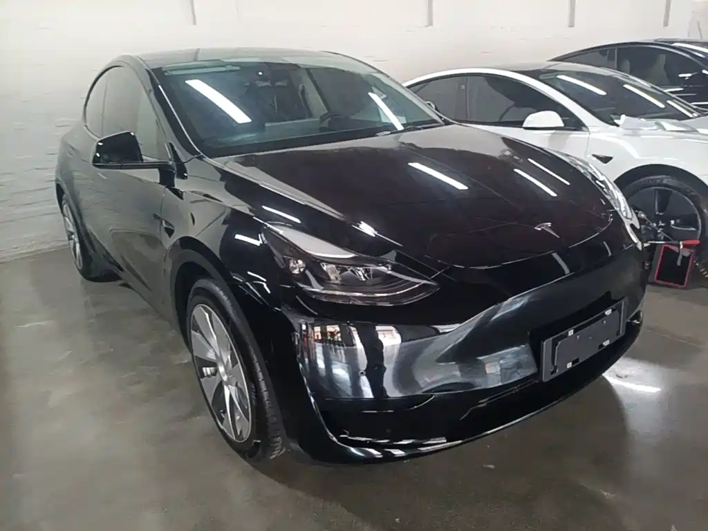 Tesla Model Y — миниатюра 4