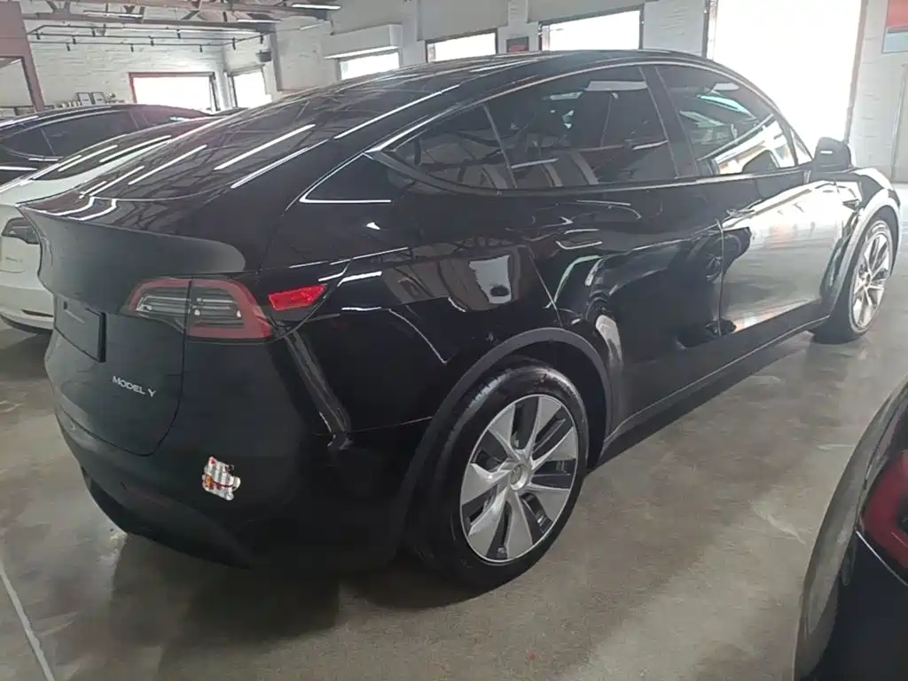 Tesla Model Y — миниатюра 7