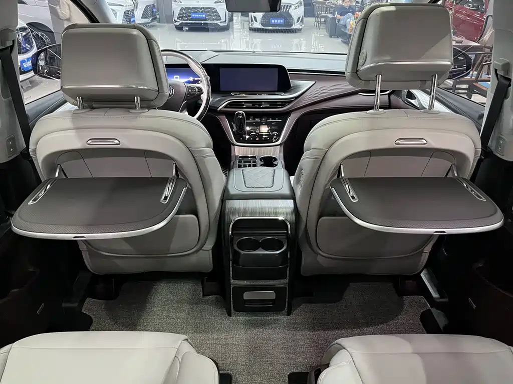 Buick GL8 — миниатюра 18