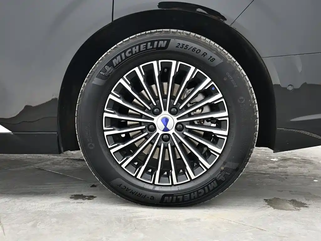 Denza Denza D9 — миниатюра 9