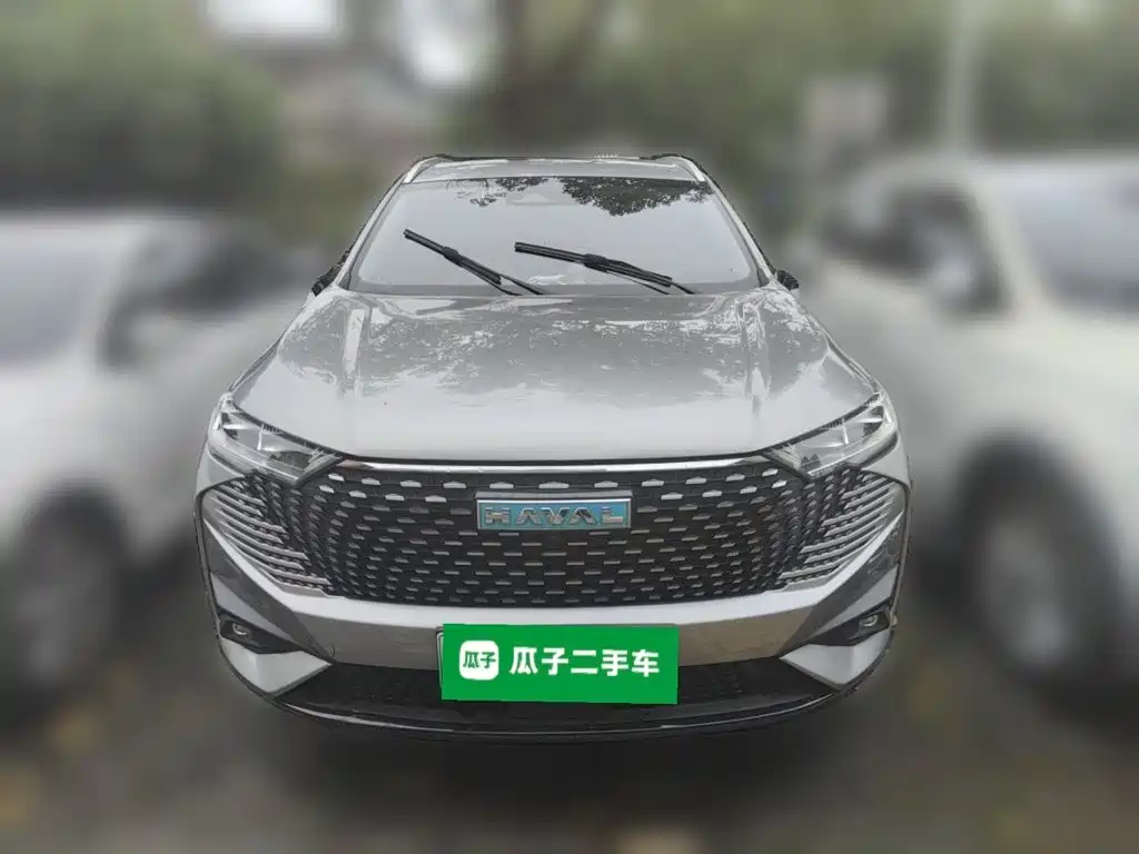 Haval H6 New Energy DHT-PHEV 110KM Joy Travel Edition, фото 2