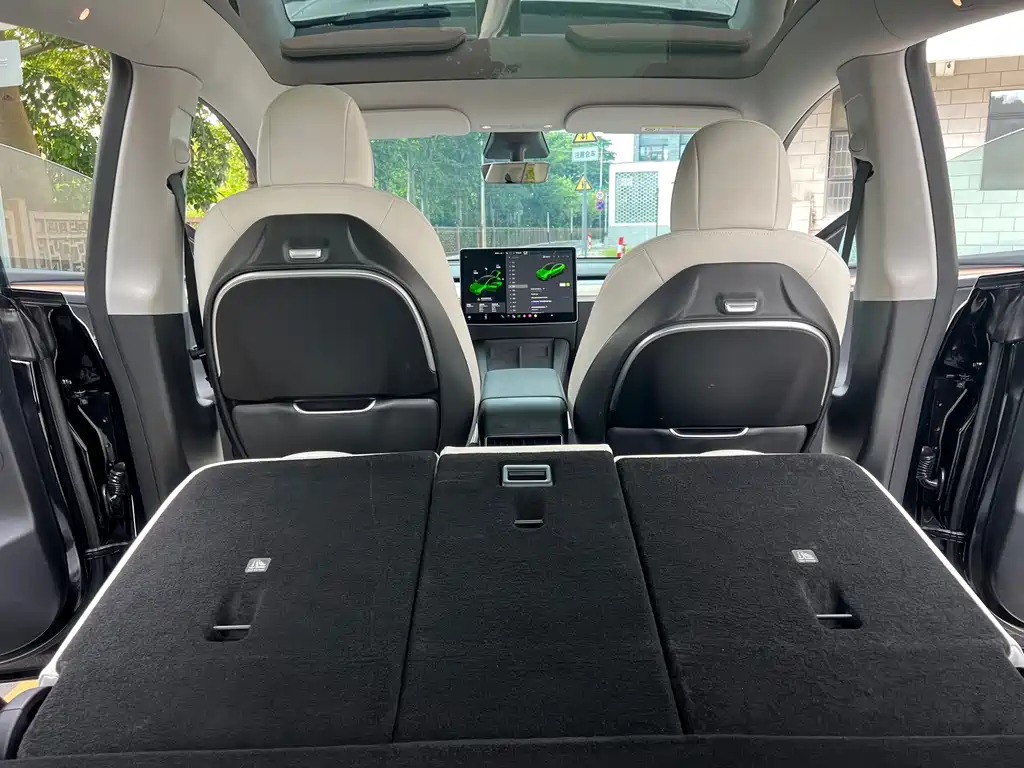 Tesla Model Y — миниатюра 19