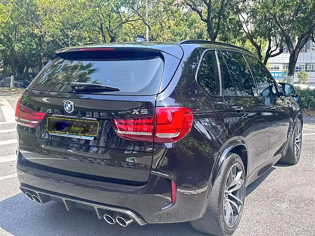 BMW X5 M