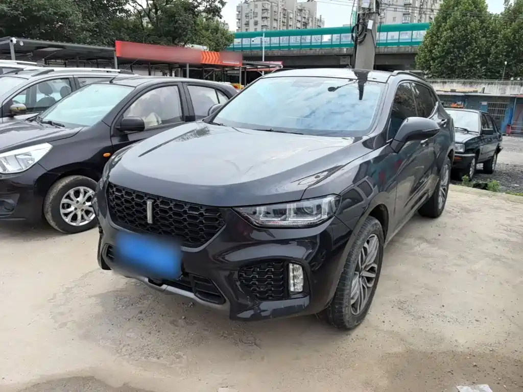 Wey Wey VV5