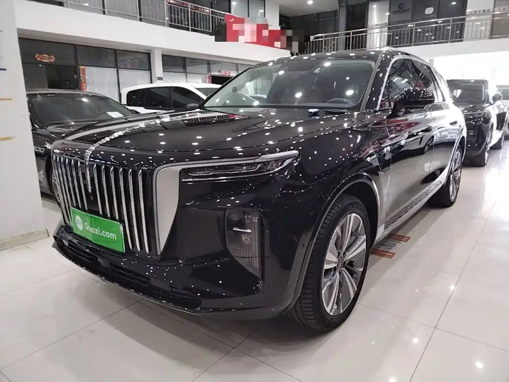 Hongqi Hongqi E-HS9 — миниатюра 2