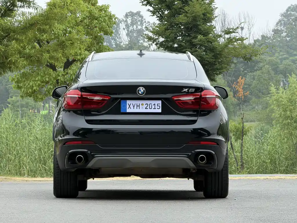BMW X6 — миниатюра 15