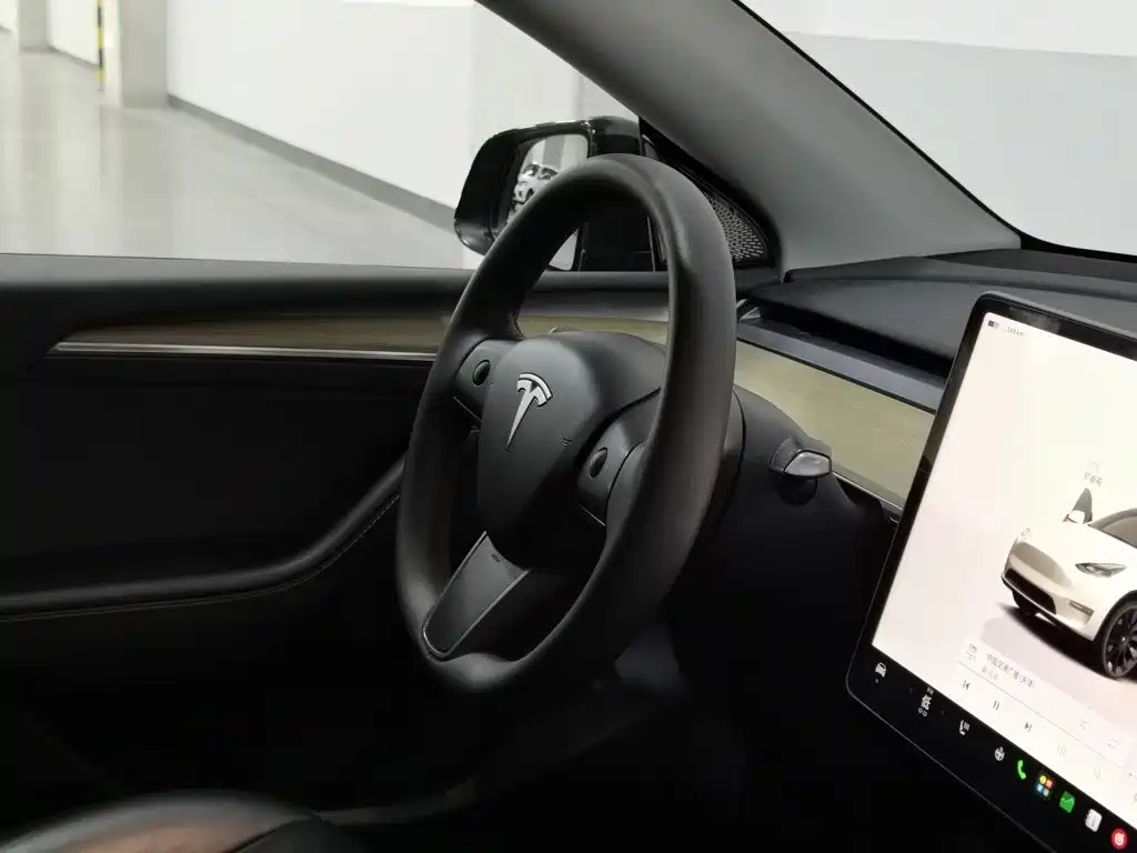 Tesla Model Y — миниатюра 22