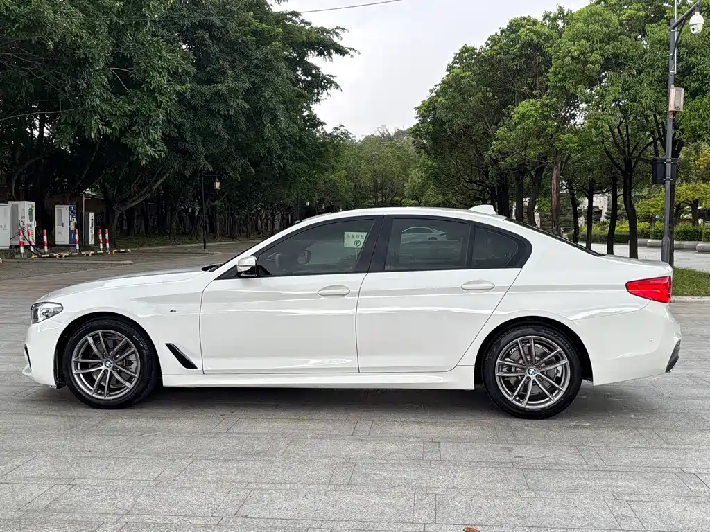 BMW 5 Series (Import) — миниатюра 6