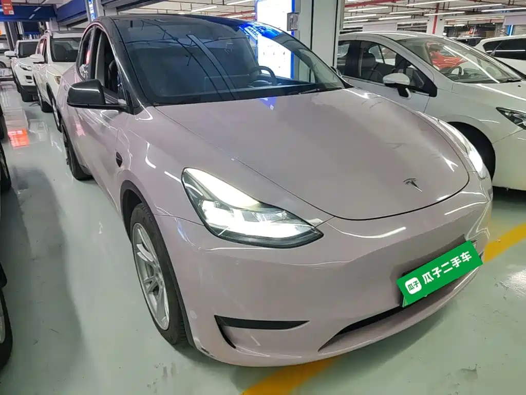 Tesla Model Y — миниатюра 4