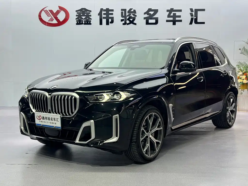 BMW X5 — миниатюра 2