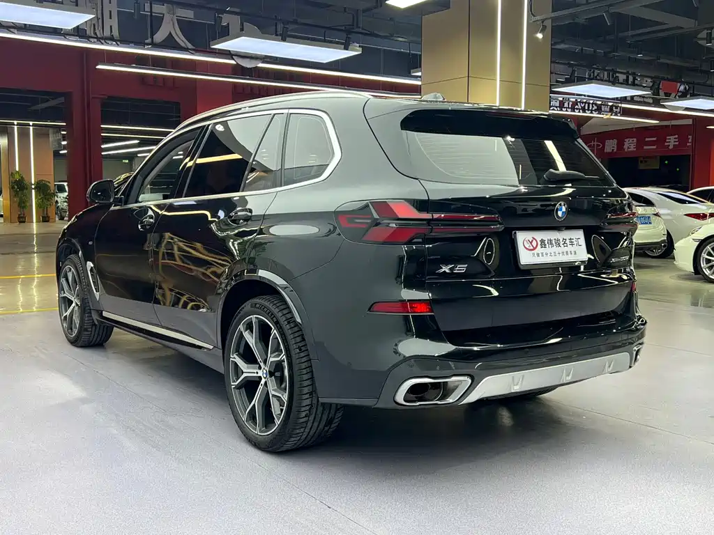 BMW X5 — миниатюра 17