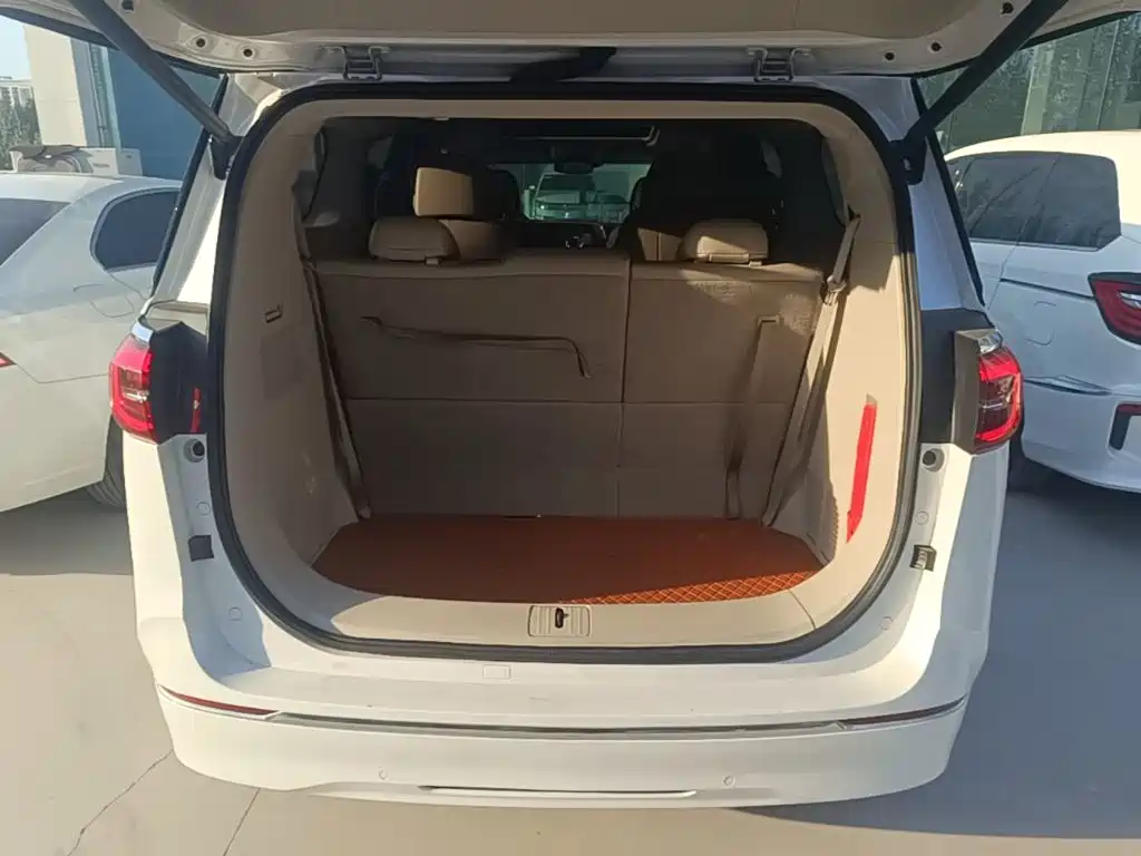 Buick GL8 — миниатюра 19
