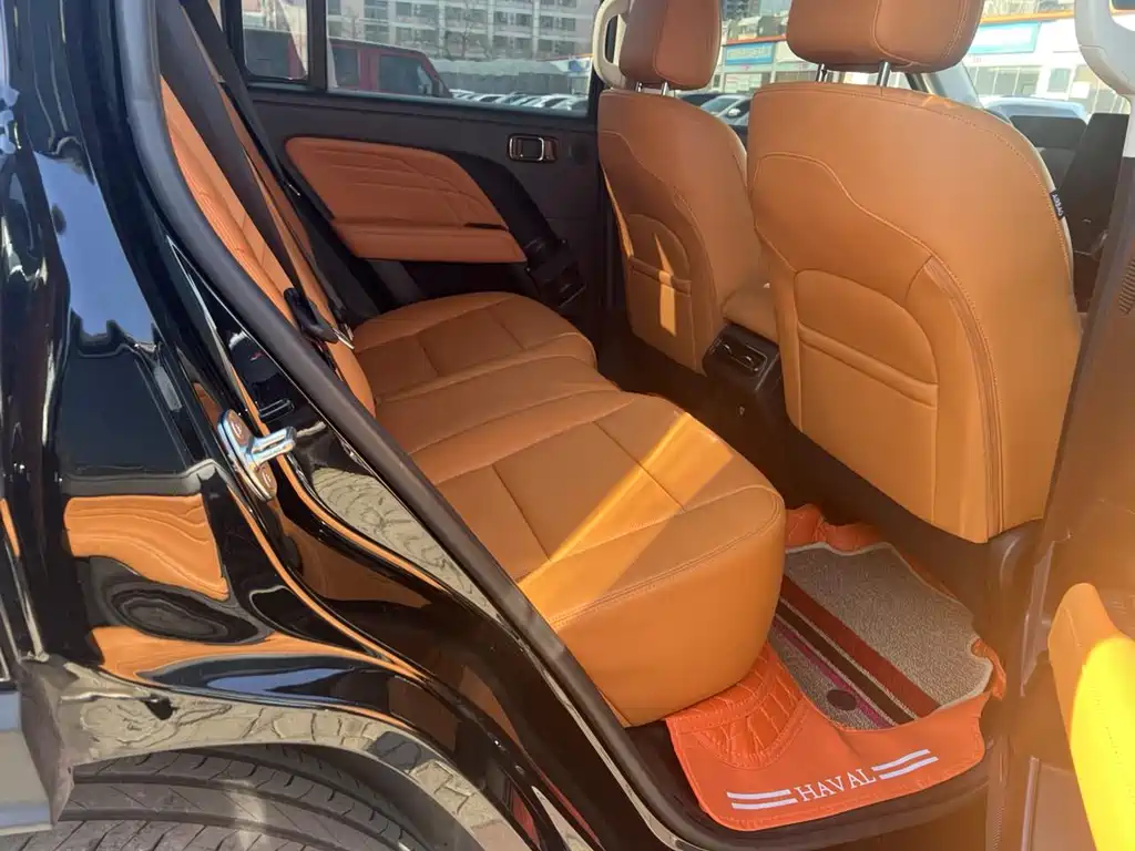 HAVAL RAPTORS NEW ENERGY