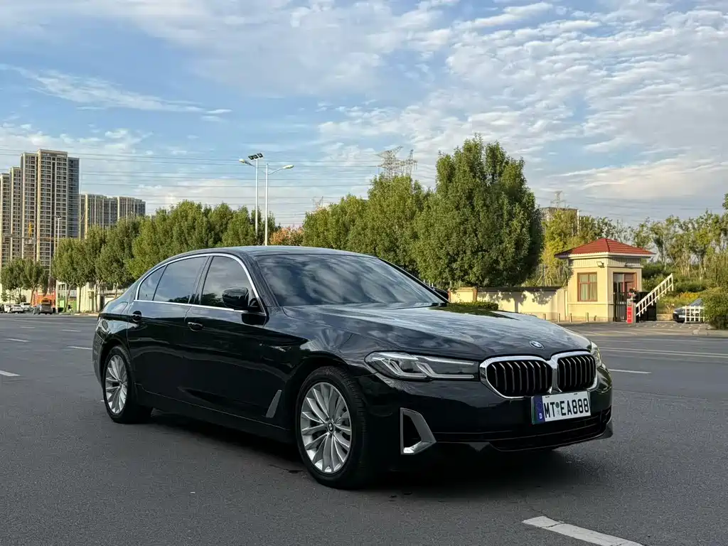 BMW 5 Series New Energy — миниатюра 3