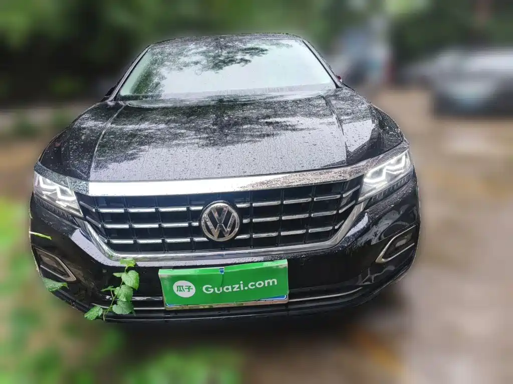 Volkswagen Passat — миниатюра 2