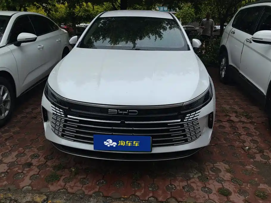 BYD Destroyer 05 2023 Champion DM-i 55KM Luxury
