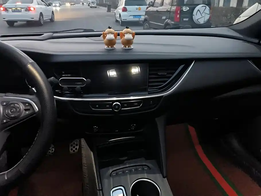 Buick Regal — миниатюра 13