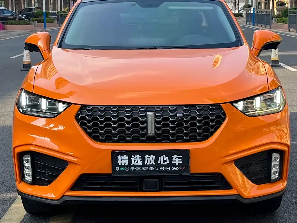 WEI PAI WEI BRAND VV5