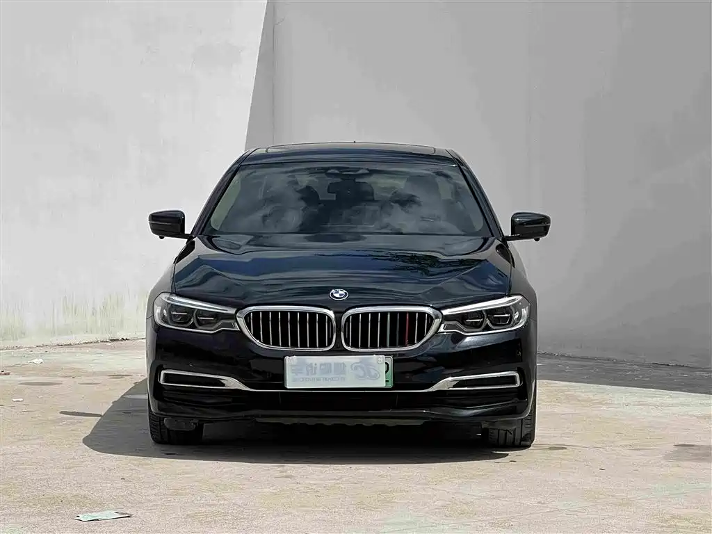 BMW 5 Series 5 2019 530Le Luxury
