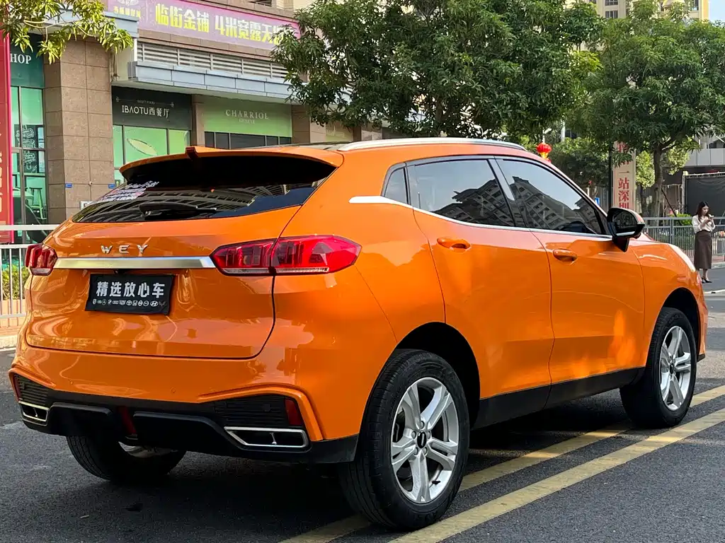 WEI PAI WEI BRAND VV5