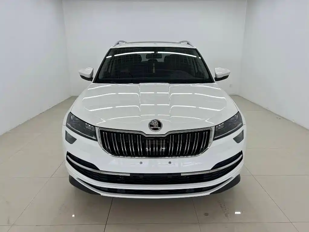Skoda Karoq — миниатюра 2