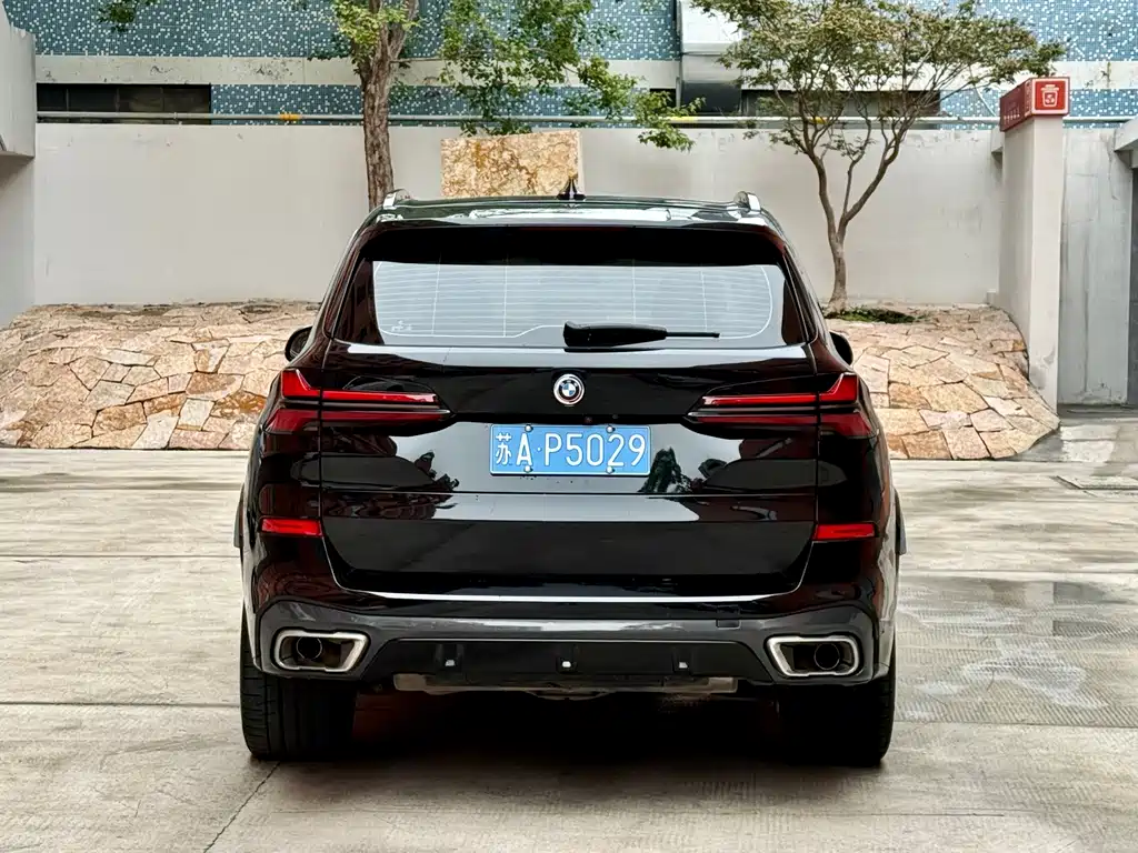BMW X5 (Import) — миниатюра 5