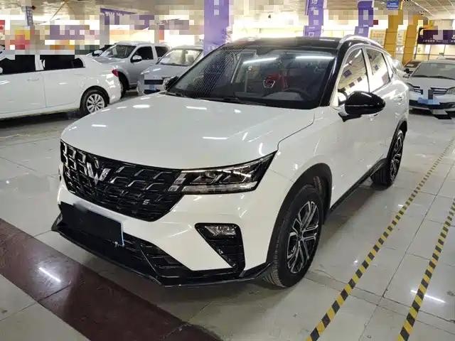 WULING WULING XINGCHI