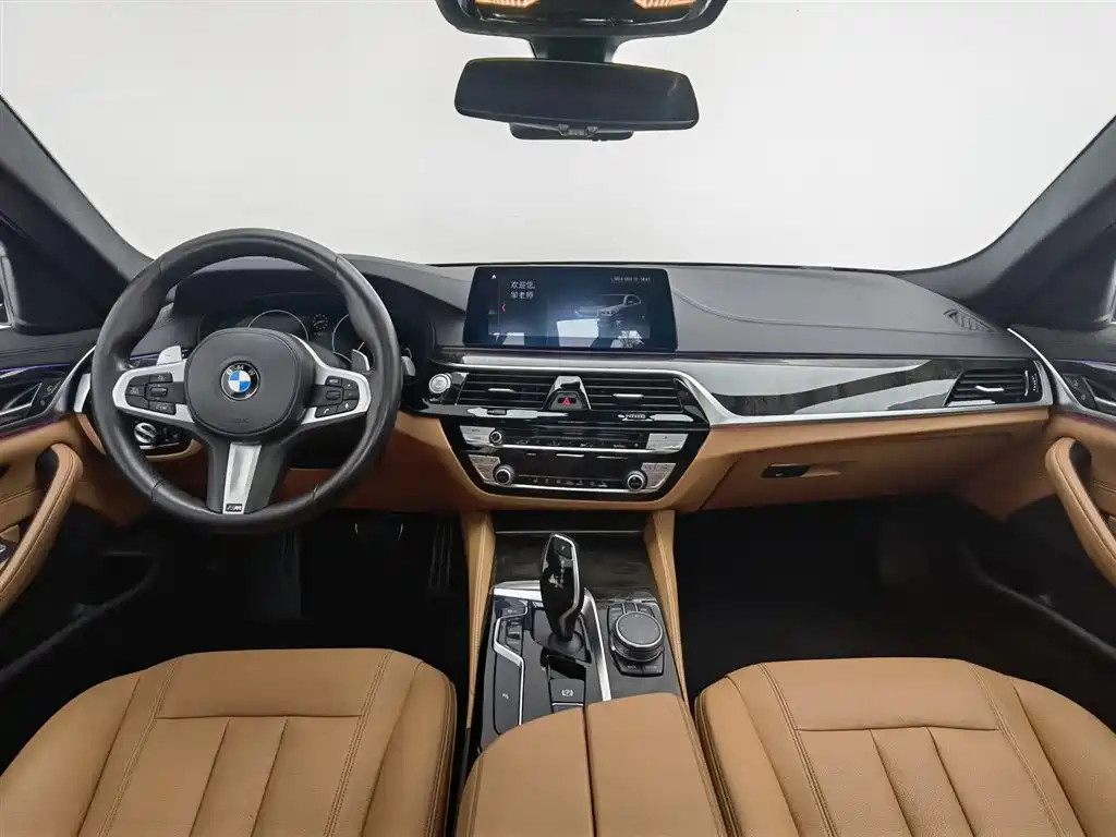 BMW 5 Series 5 2019 530Li Lead M Sport