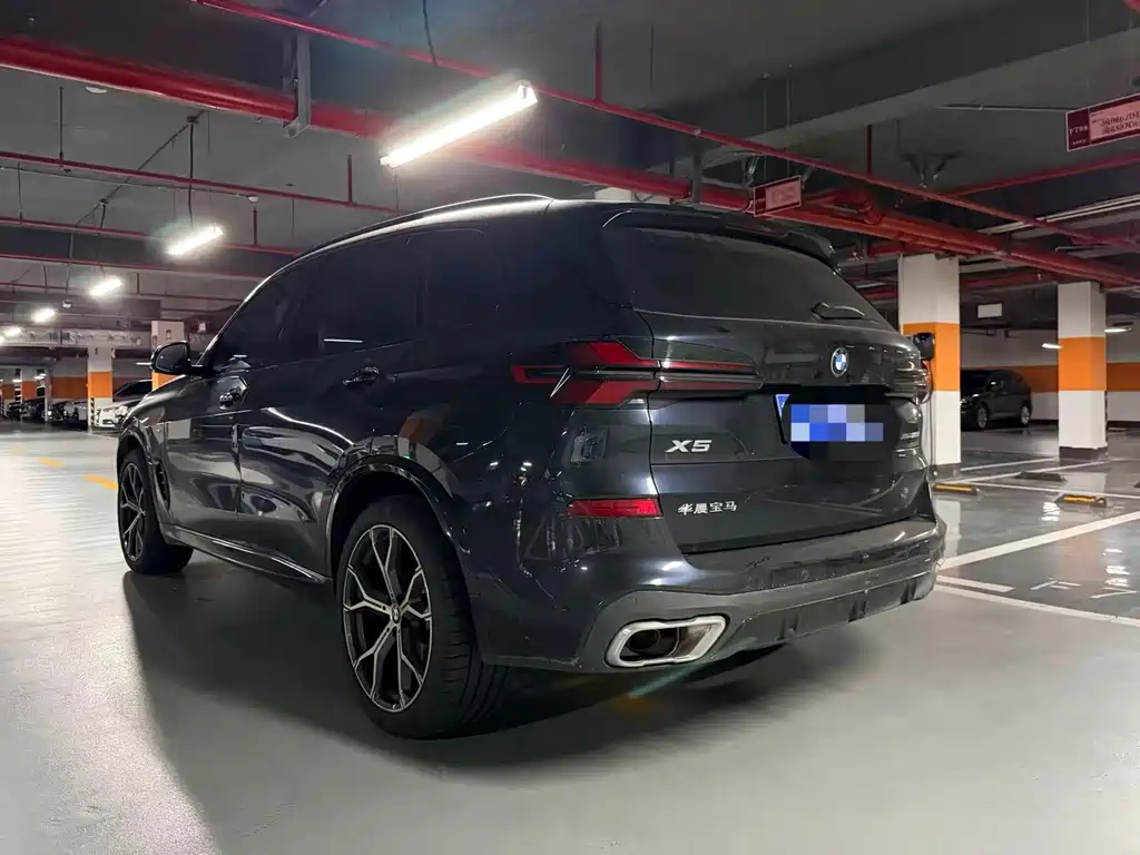 BMW X5 — миниатюра 6